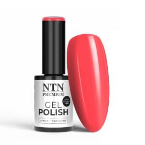 UV lak NTN Premium 091