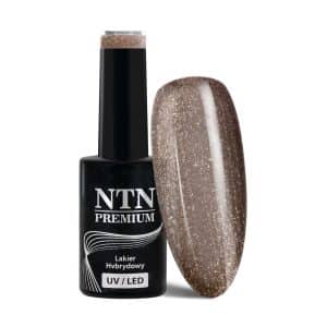 UV lak NTN Premium 081